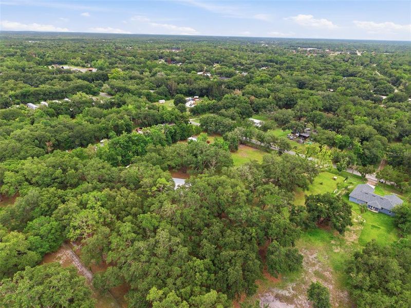 Natural landscape and outdoor views near in Orlando (Image 30). Natural landscape and outdoor views near in Orlando (Image 30).
