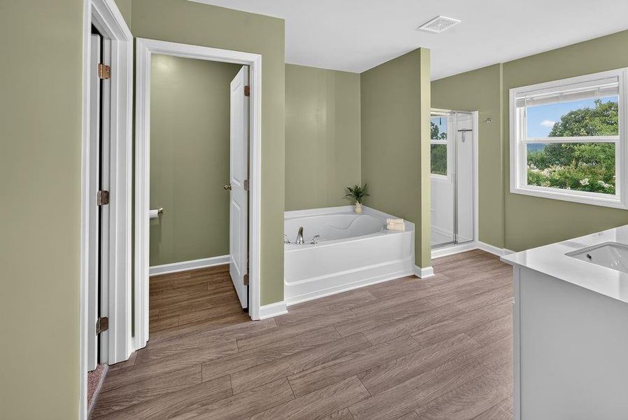 Furnished interior view inside a new home in , Calhoun (Image 41). Furnished interior view inside a new home in , Calhoun (Image 41).