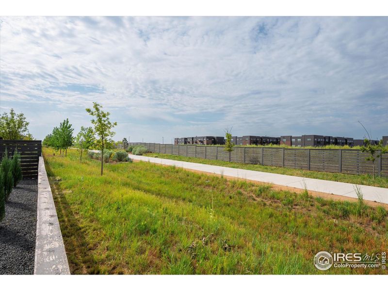 Walking Path Walking Path