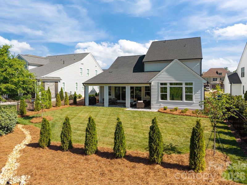 Backyard has endless possibilities