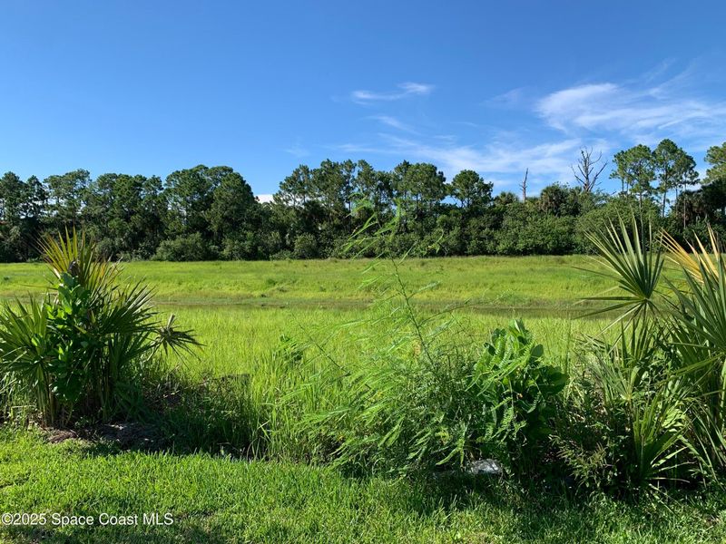 Natural landscape and outdoor views near St. John Preserve in Palm Bay (Image 12). Natural landscape and outdoor views near St. John Preserve in Palm Bay (Image 12).