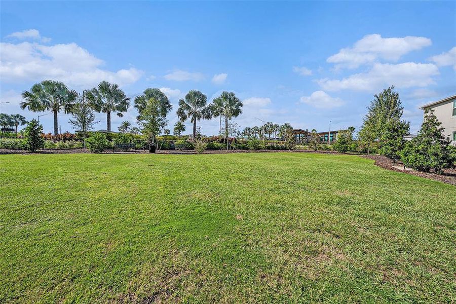 Natural landscape and outdoor views near in Wesley Chapel (Image 23). Natural landscape and outdoor views near in Wesley Chapel (Image 23).