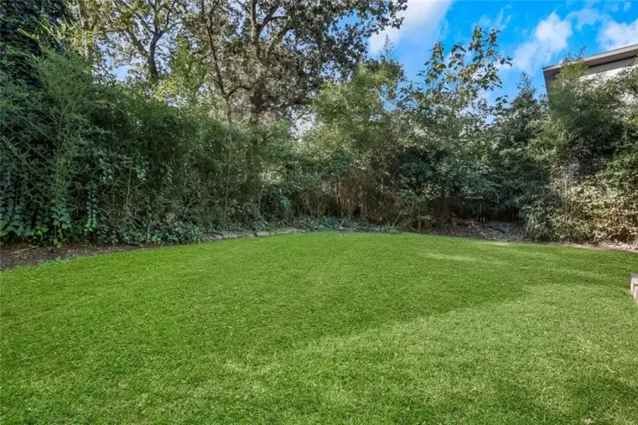 Natural landscape and outdoor views near  in Atlanta (Image 34).