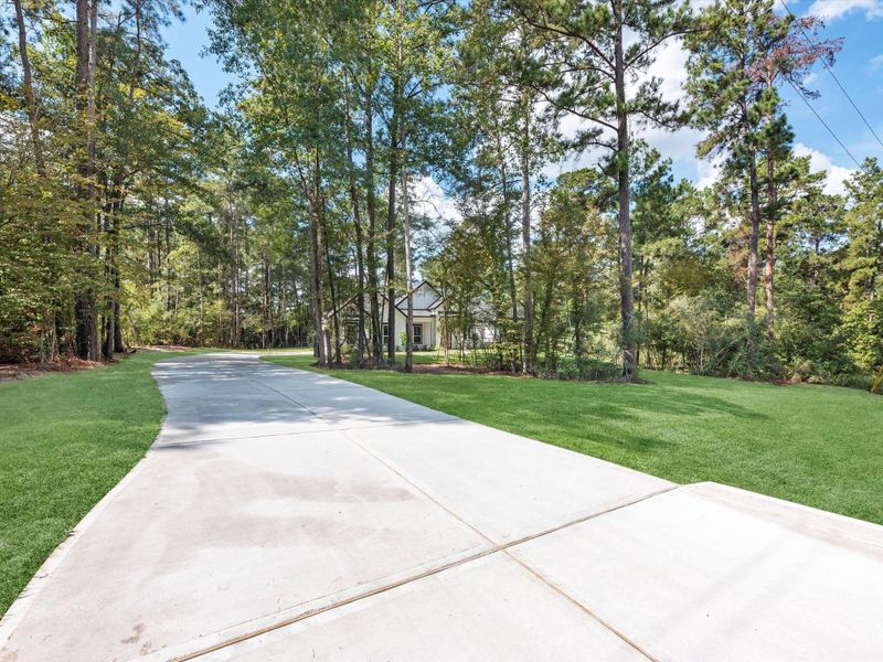 Natural landscape and outdoor views near in New Waverly (Image 28). Natural landscape and outdoor views near in New Waverly (Image 28).