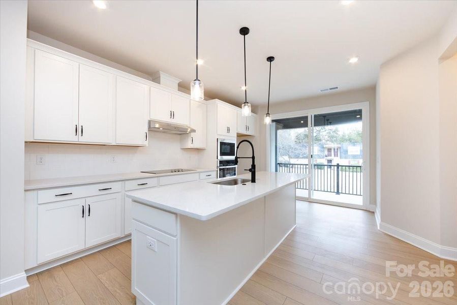 Gouremt Kitchen with Electric Cooktop