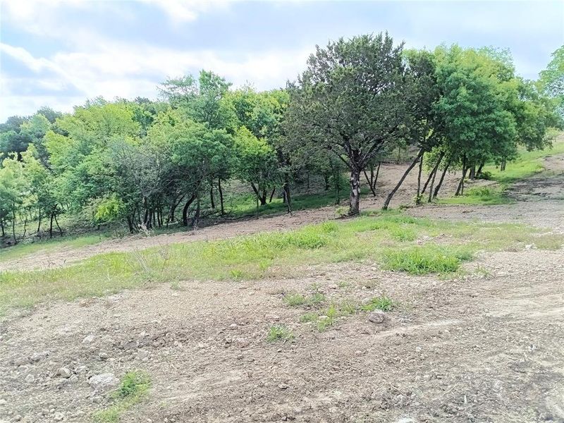 Natural landscape and outdoor views near  in Springtown (Image 12).