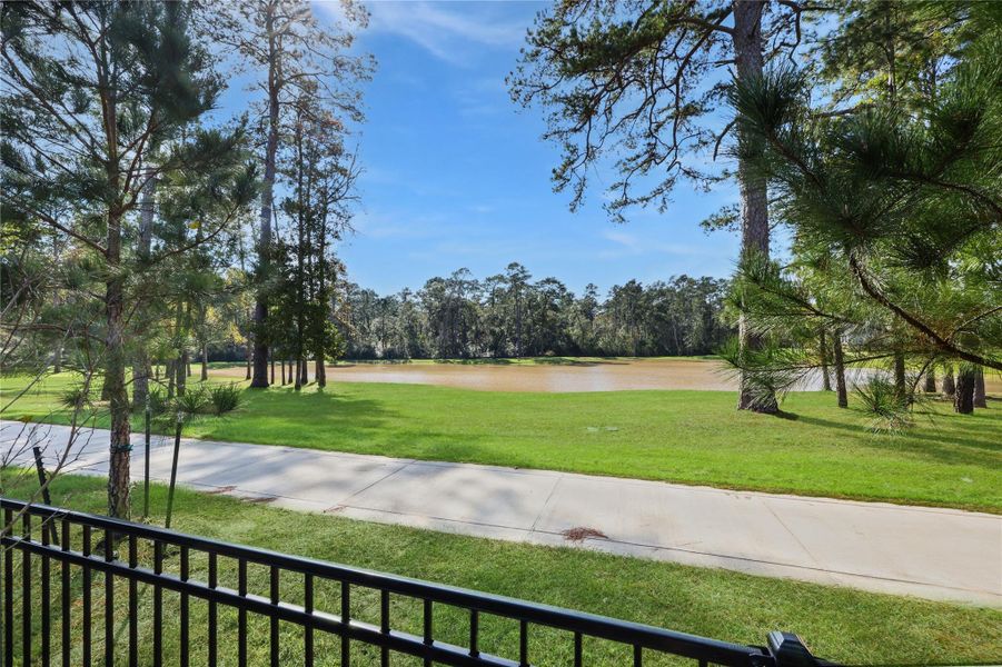 View in the backyard.