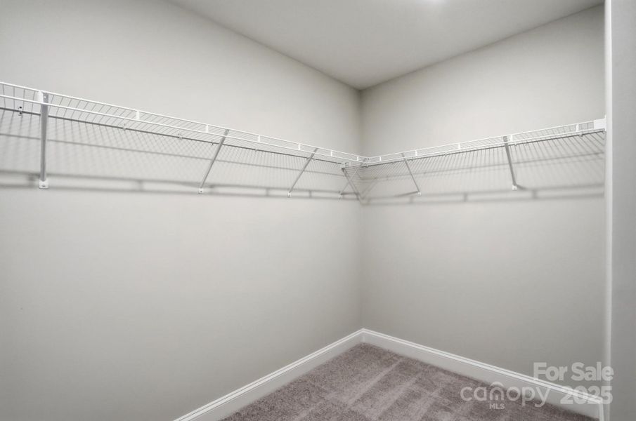 Spacious, unfurnished interior of a new home in Carrington, Stanley (Image 27).