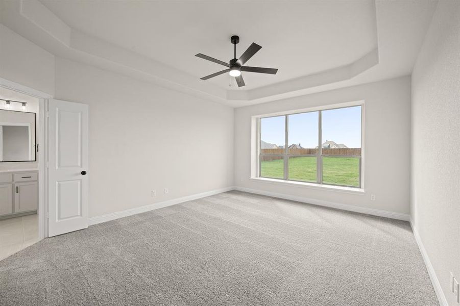 113 Grey wolf- Primary-1 113 Grey wolf- Primary-1