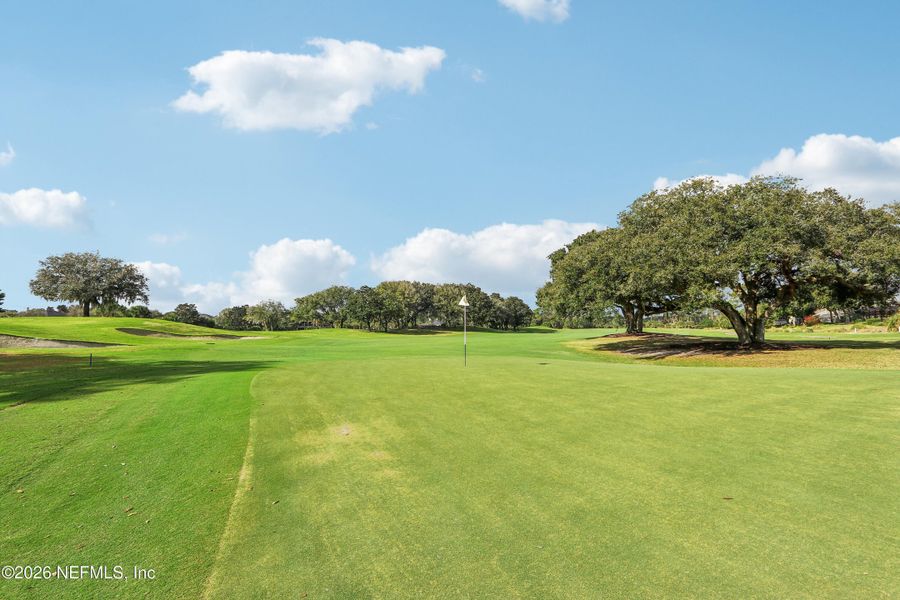 Natural landscape and outdoor views near  in Palm Coast (Image 25).