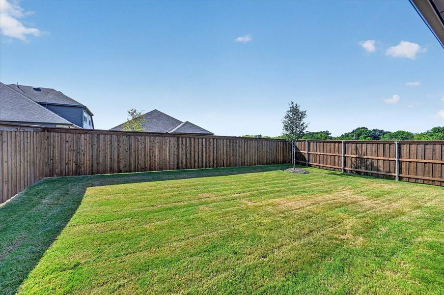 Backyard Backyard