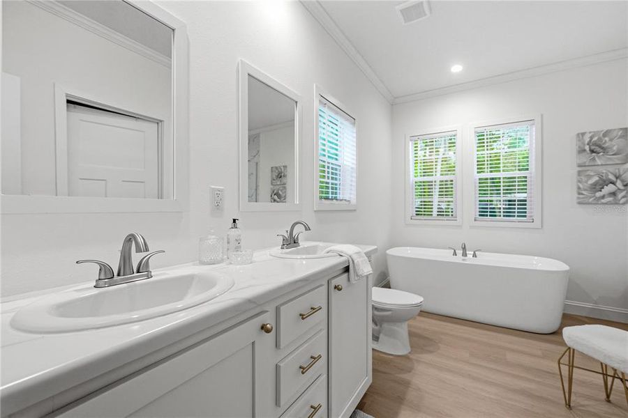 Furnished interior view inside a new home in , Webster (Image 44).
