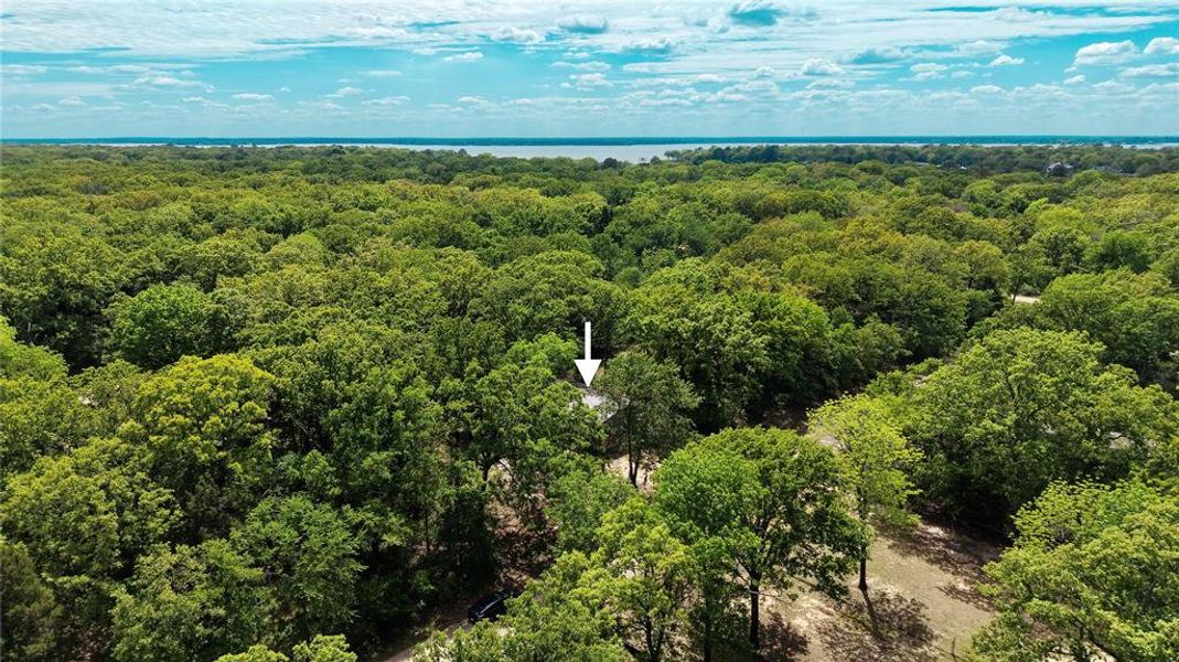 Natural landscape and outdoor views near  in Mabank (Image 17).