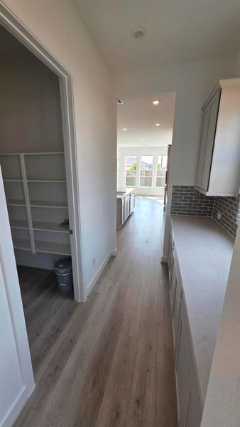 29006 Vermillian Canyon Ct 29006 Vermillian Canyon Ct