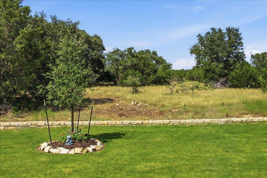 A verdant lawn meets a natural landscape, bordered by a tasteful stone wall and a young, thriving tree. A verdant lawn meets a natural landscape, bordered by a tasteful stone wall and a young, thriving tree.