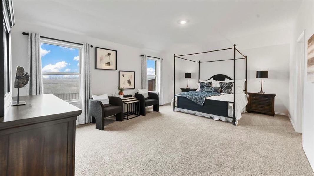 Spacious room featuring light-toned carpeting and multiple windows Spacious room featuring light-toned carpeting and multiple windows