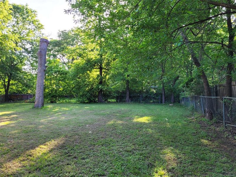Natural landscape and outdoor views near  in Paris (Image 37).