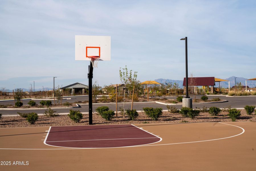 Basketball Court