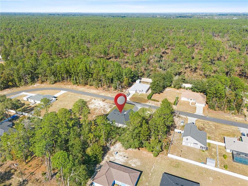 Front exterior of a new home in , Ocala, FL, highlighting curb appeal (Image 22).