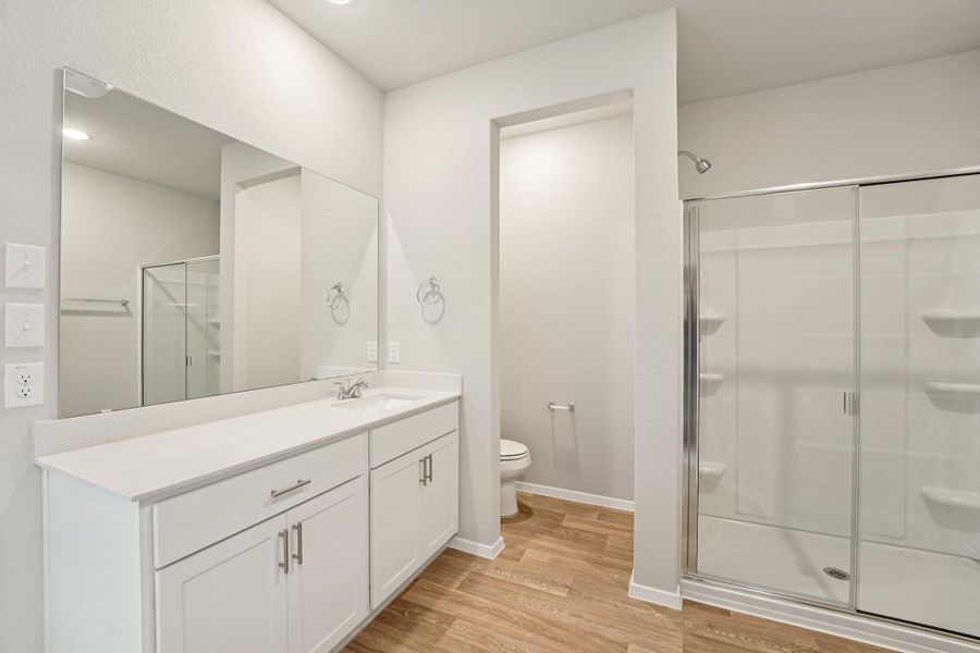 Primary Bath retreat & walk-in shower