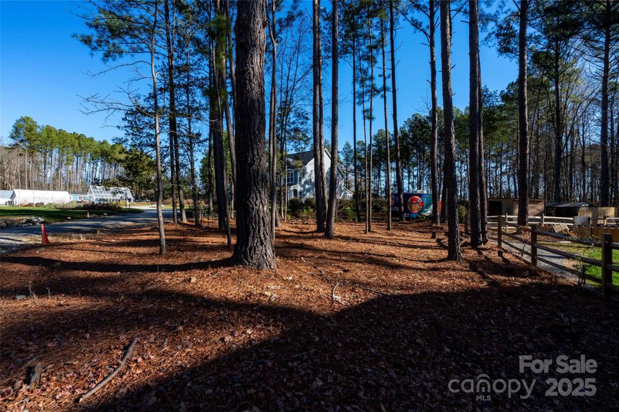Natural landscape and outdoor views near in Huntersville (Image 36). Natural landscape and outdoor views near in Huntersville (Image 36).