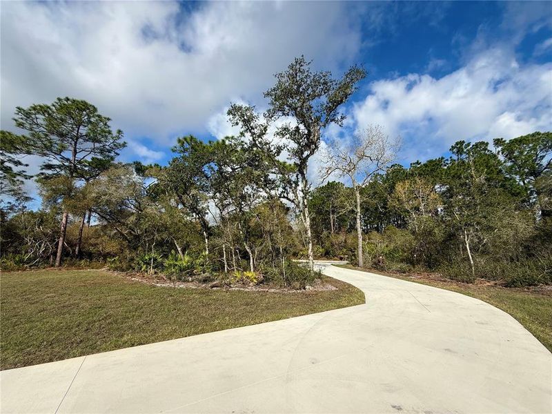 Natural landscape and outdoor views near  in Eustis (Image 42).