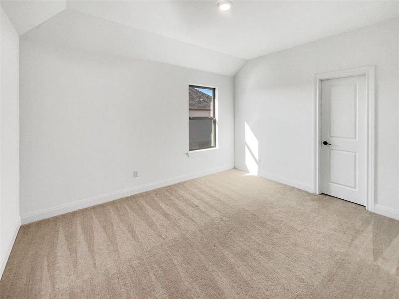 Empty room featuring lofted ceiling, baseboards, and carpet floors