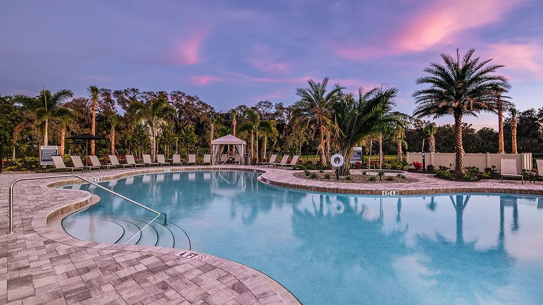 Community amenities in Skye Ranch Community Group Page, Sarasota (Image 66).