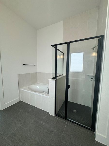 Primary Bath Walk-in Shower & Garden Tub