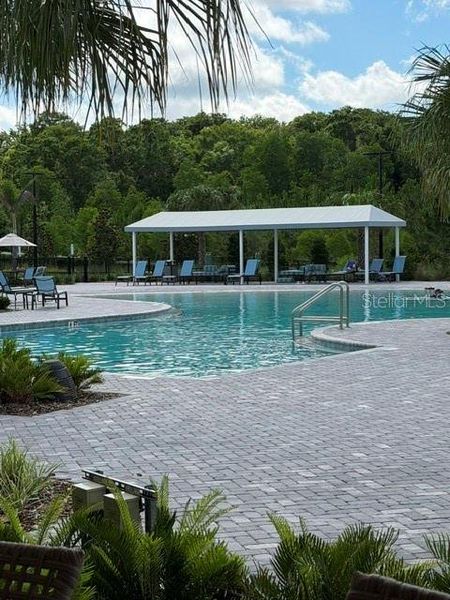 Community amenities in Angeline Active Adult, Land O' Lakes (Image 23). Community amenities in Angeline Active Adult, Land O' Lakes (Image 23).