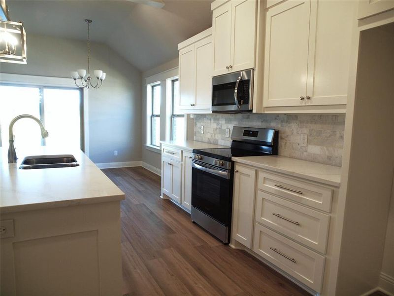 Kitchen with lofted ceiling, plenty of natural light, stainless steel appliances, and dark hardwood / wood-style floors