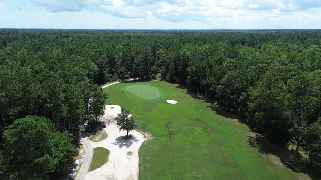 Natural landscape and outdoor views near The Preserve at Shaftesbury Glen in Conway (Image 19).