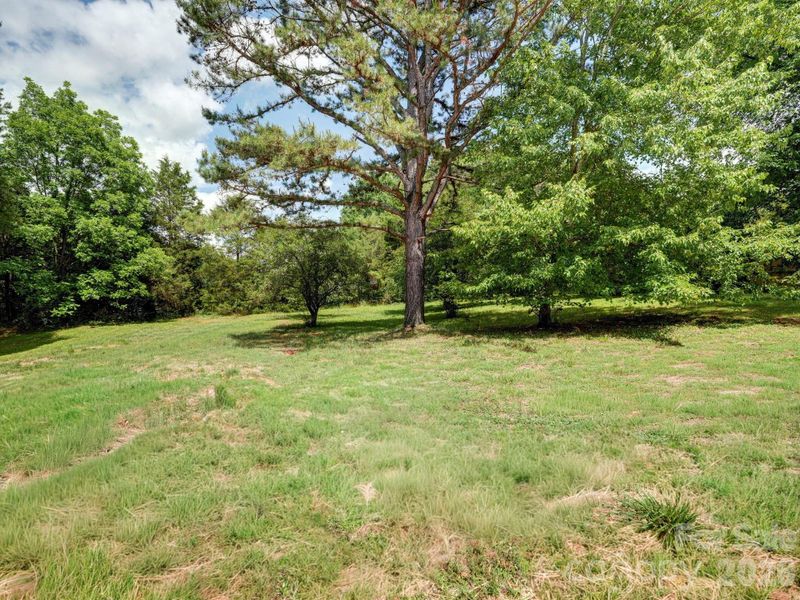Natural landscape and outdoor views near  in Mooresville (Image 39).