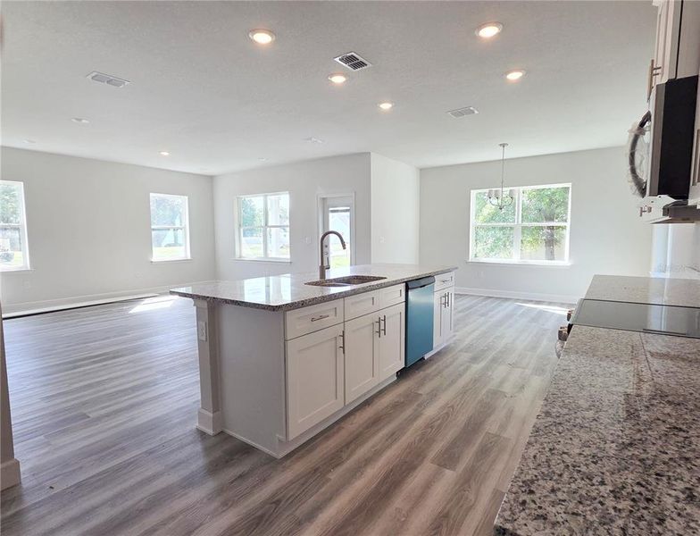 Furnished interior view inside a new home in The Preserve at Laurel Lake, Lake City (Image 9).