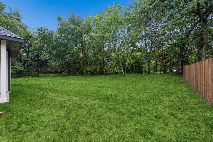 Back yard with a tree line.
