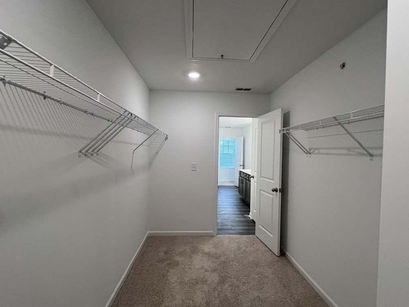 Primary Bedroom Walk-in Closet