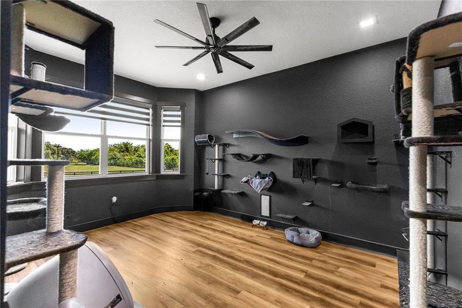 Furnished interior view inside a new home in , Ocala (Image 16). Furnished interior view inside a new home in , Ocala (Image 16).