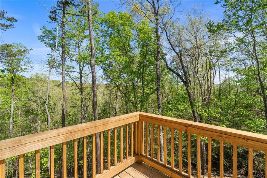 Natural landscape and outdoor views near  in Ellijay (Image 39).