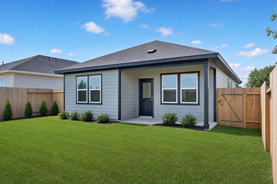 26711 Celestial Cypress ~ Ready Now
