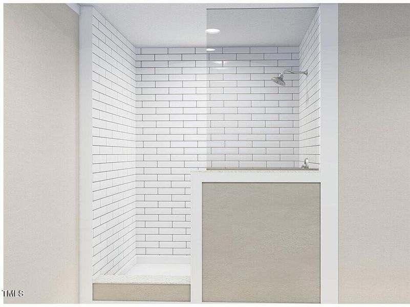 Classic Shower Walk in