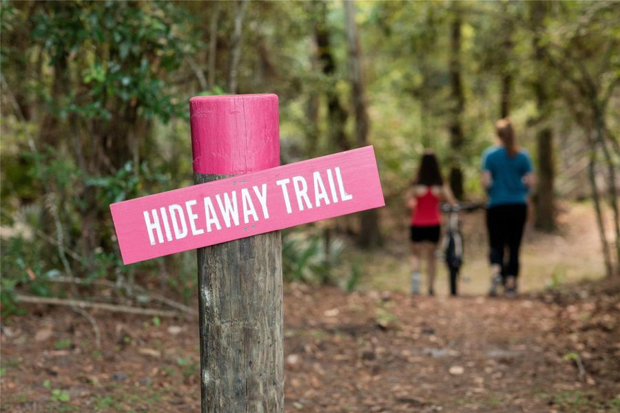 Hike, bike, or jog on the miles of natura trails that run through Grand Central Park Hike, bike, or jog on the miles of natura trails that run through Grand Central Park