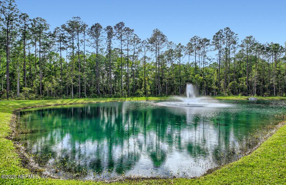 Natural landscape and outdoor views near Stillwater | Active Adult 55+: Stillwater - Villas in St. Johns (Image 23). Natural landscape and outdoor views near Stillwater | Active Adult 55+: Stillwater - Villas in St. Johns (Image 23).