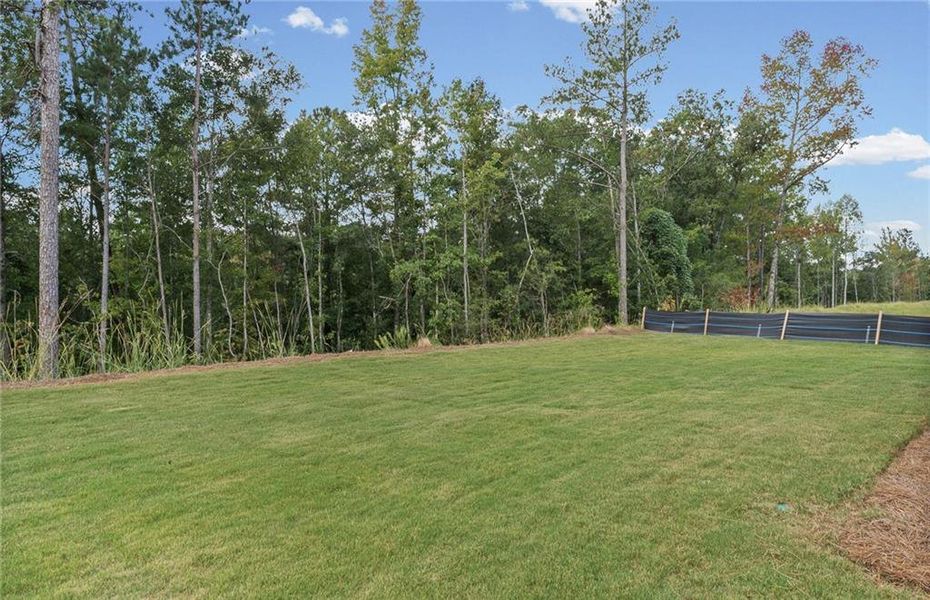 Natural landscape and outdoor views near Sun City Peachtree in Griffin (Image 7).