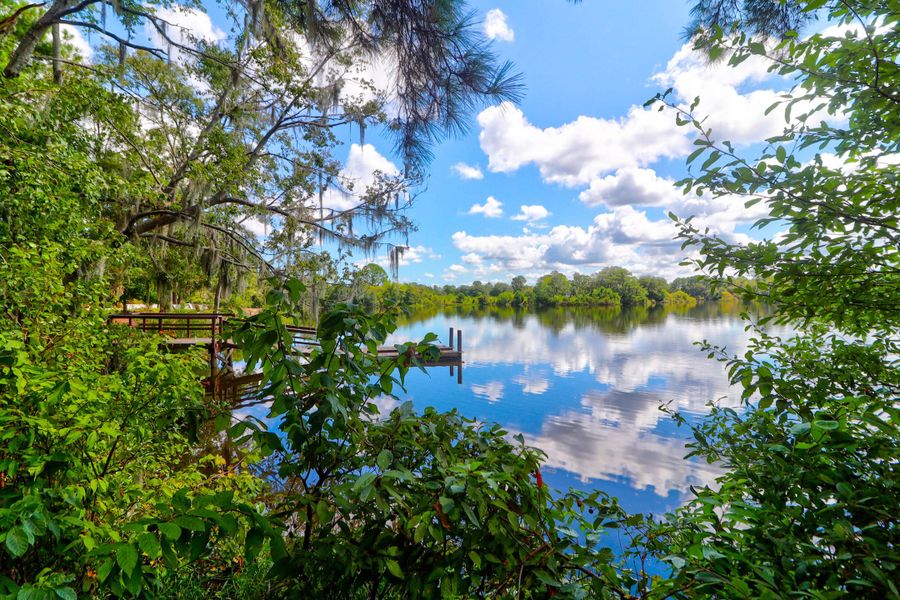 Natural landscape and outdoor views near Sweetgrass at Summers Corner: Arbor Collection in Summerville (Image 39).