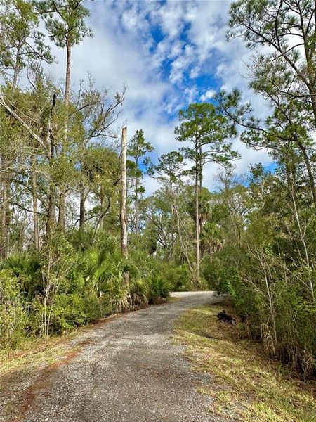 Natural landscape and outdoor views near in Land O' Lakes (Image 49). Natural landscape and outdoor views near in Land O' Lakes (Image 49).