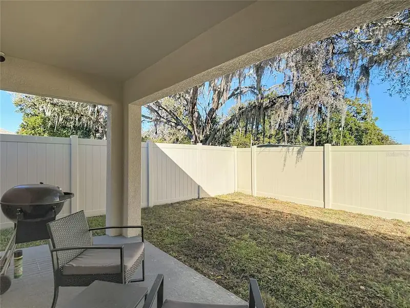 Exterior details and patio area of a home in , Zephyrhills (Image 28).