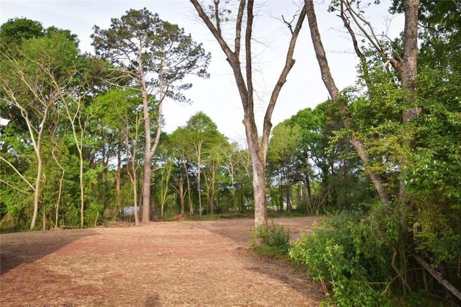 Natural landscape and outdoor views near  in Watkinsville (Image 13).