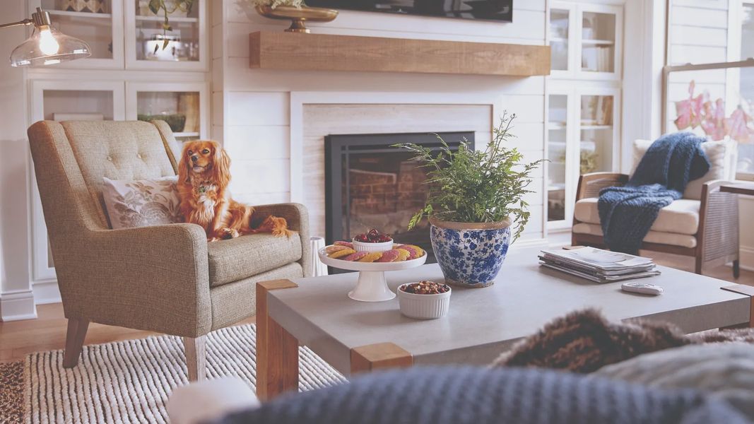 Representative furnished interior of a home built from the Torino by Epcon Communities in The Courtyards at Oak Grove, Durham (Image 10).