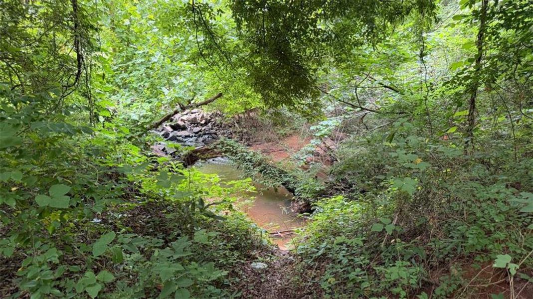 Natural landscape and outdoor views near  in Temple (Image 83).