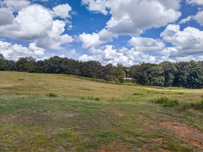 Natural landscape and outdoor views near Blackwelder Bluff in Bowdon (Image 50).